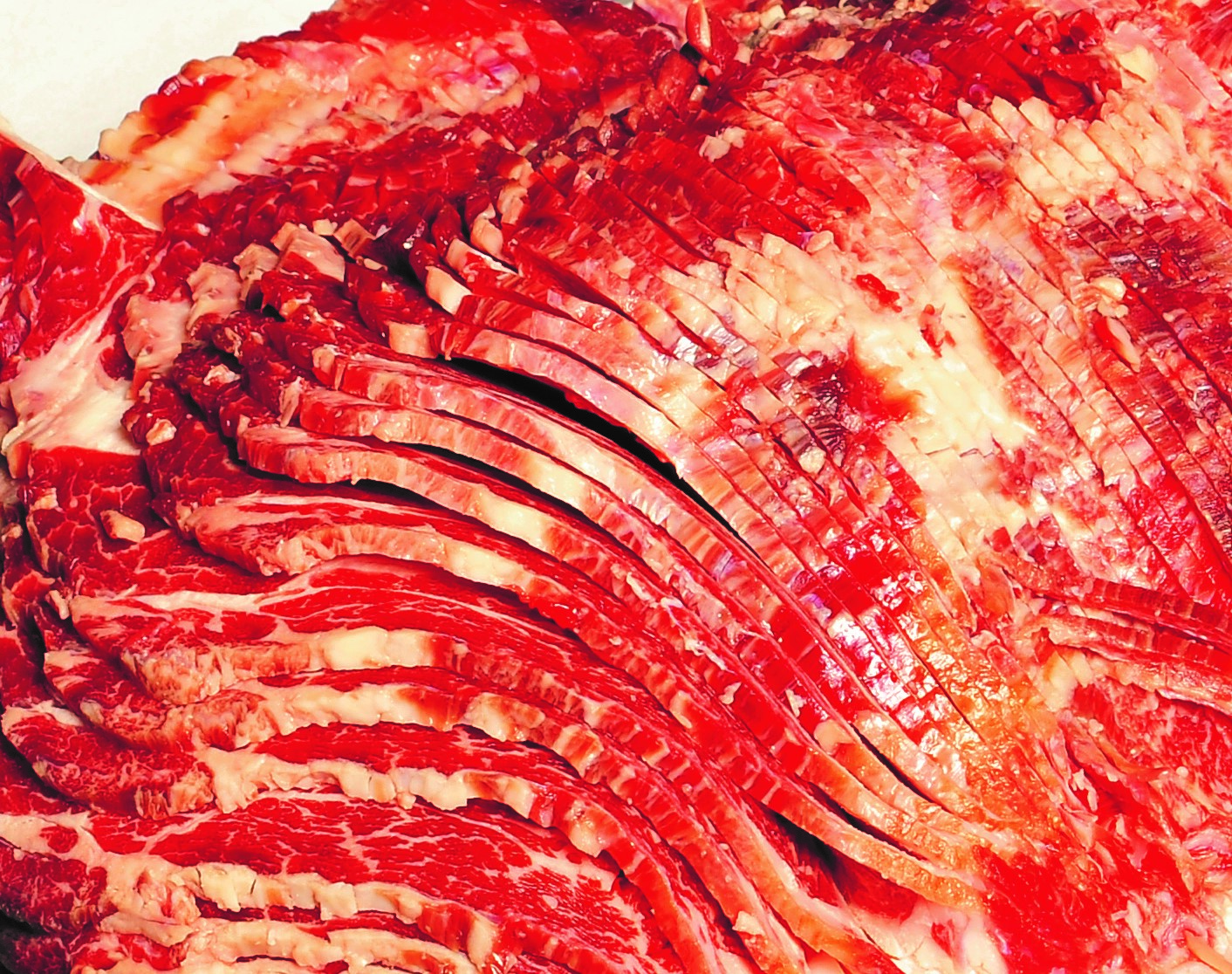 SFO-300 slicer_meat sliced_jerky jerky meat slicer